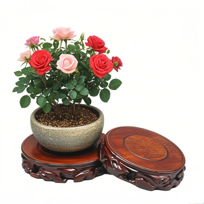 Wooden Plant Saucer & Flower P - đánh giá và giá Coffee Tea Gardens